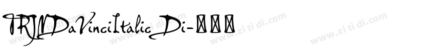 TRJNDaVinciItalic Di字体转换